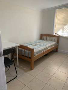 FEMALE ONLY ❤️❤️❤️ Bankstown Verbena Ave New Room for Rent