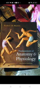 Fundamentals of Anatomy & Physiology

