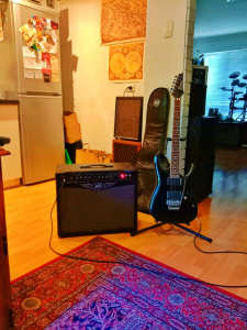 Electric Guitar and Valve Guitar Amplifier Combo