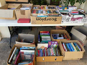 Books, books, books Clean sorted Bundle deal for markets, resellers