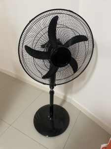 Free kmart black oscillating fan