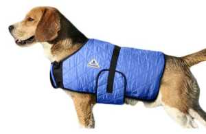 Dog coat - HyperKewl Evaporative Cooling Dog Coat - NEW
