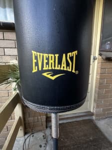 Everlast Boxing Cardio Fitness Training Bag - Price Reduced!!