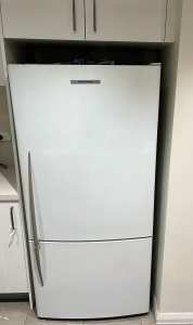 Fisher and Paykel fridge