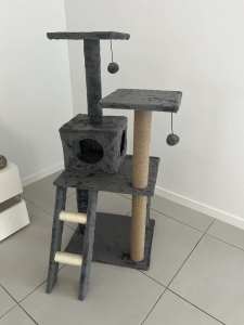 Cat tower available
