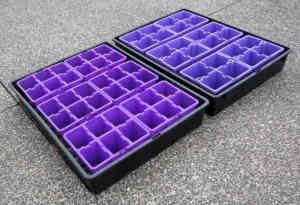 PLANT POT 60x Cell Propagating Tray Seed Grow Seedling Growing Planter