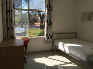 Large Renting Room in Sharehouse $185, single male only