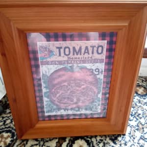 John Perkins Seeds Tomato Picture in frame.
