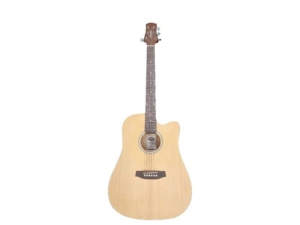 Ashton Acoustic Guitar D20ceqntm Brown (001100224888)