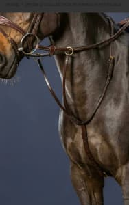 Dy’on Running Martingale