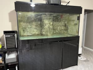 6 ft Fish tank (with cabinet and sump, rock wall)