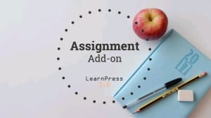 Essay and assignment help