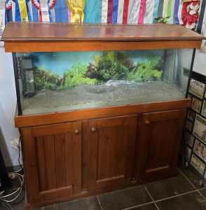 4 foot fish tank