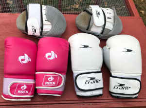 Boxing Martial Arts Gloves And Focus Mitts