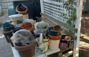 Assorted Decor Hanging Pot Plant Baskets
