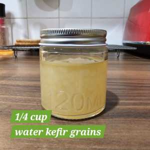 Water kefir grains, 1/4 cup fresh (not dehydrated), health drink