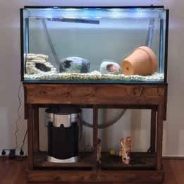 Fish Tank Bundle