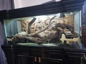 Aquarium / reptile tank