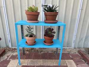 Succulents with the stand bundle sale - $42 for the lot