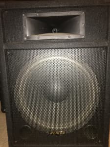 Fenton CSB15 PA Speakers 15” 800W (x2)