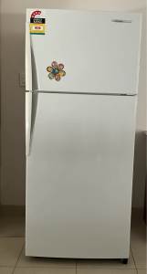 Westinghouse Frost Free 420 Litre Refrigerator/Freezer