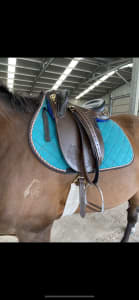 Stock Saddle Great Condition
