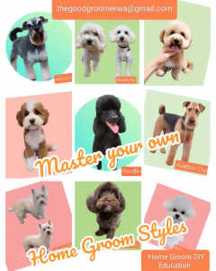 Home based Dog grooming service 