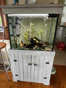 90 litre fish tank complete with stand