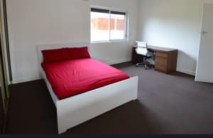 Room For Rent Eagleby 4207 ( Furnished)
