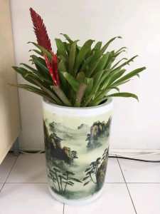 Large Oriental Plant Vase