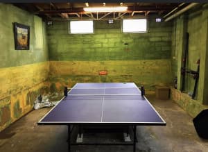 Table tennis table