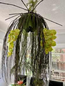 Floral Chandelier, Contemporary, Gorgeous Green Foliage with Lush Lime