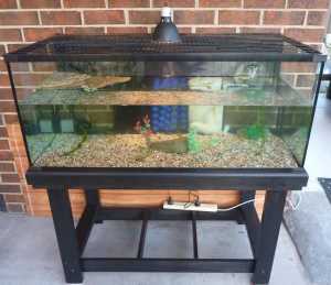 120cm Reptile One Turtle Fish Tank with Stand, Pump, Light and Mesh Co