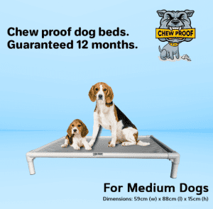 Chew Proof Indestructible Dog Beds - Medium by ChewProof