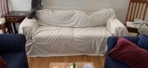 Sofa bed with loose cover