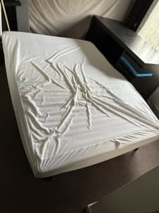 Foldable couch/bed
