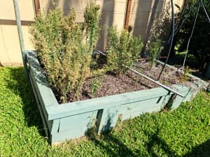 1x Garden Bed - $40 x1 Rectangular with/without soil