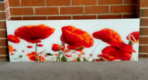 Red Poppys in the Field Tempered Glass Printed Wall/Modern Art 