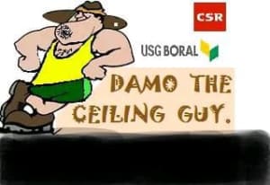 PLASTERER Damo The Ceiling Guy