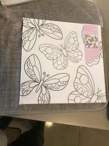 Butterfly coloring paint canvas $2