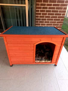 Dog kennel / pet hutch