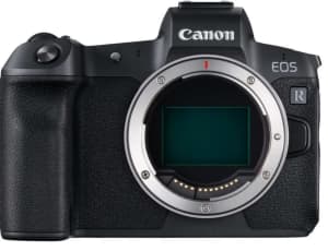 Canon EOS R Full Frame & Canon
Mount Adapter EF-EOSR
Tamron 70-200 F