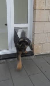 Dog Door for slide door
