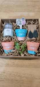 Painted Terracotta Pot Gift Pack