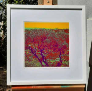 GIFT IDEA - Framed Photo Print: Outback Scene in Parrot Colours