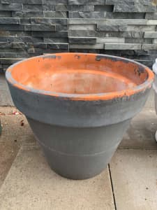 Large terracotta pot.