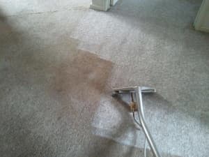 Dry Bright carpet, upholstery and leather cleaning specialists