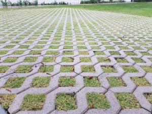 Driveway Pavers - Permeable Grass Growing Pavers