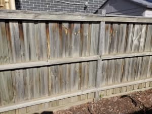 Used Timber Paling Fence