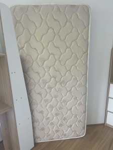 $30 Single Size mattress